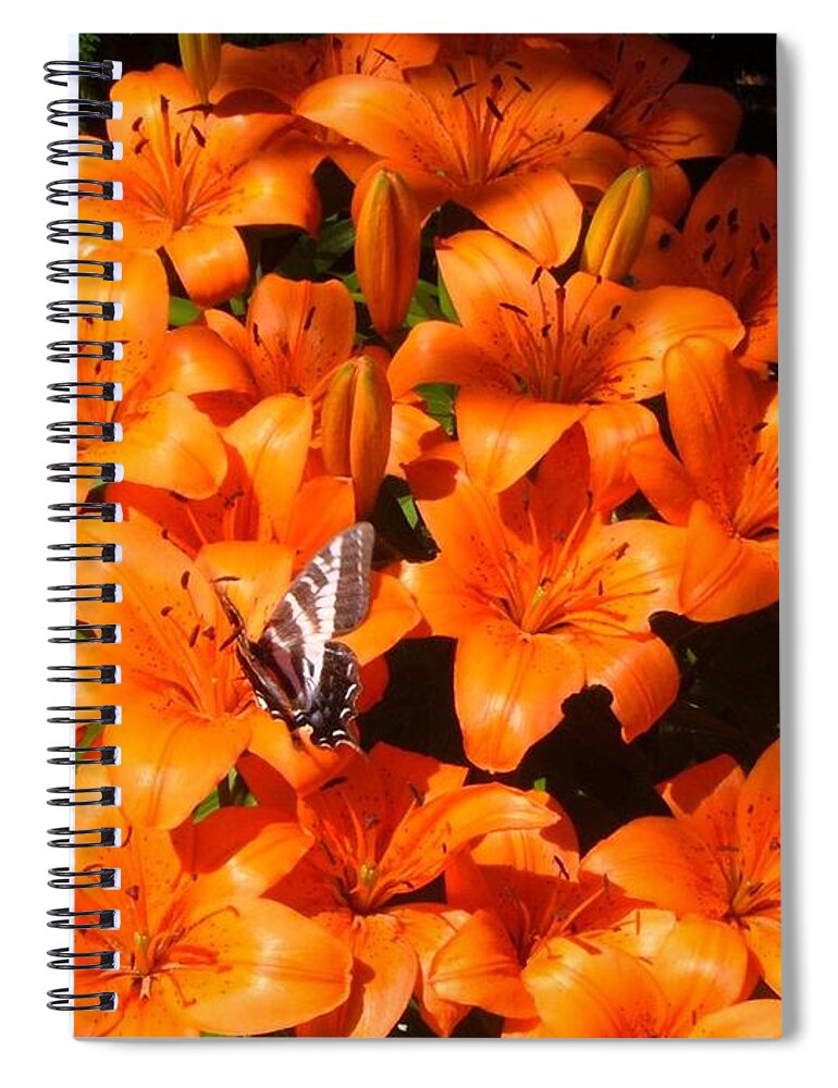Lily Spiral Notebook featuring the photograph Orange Lilies by Sharon Duguay
