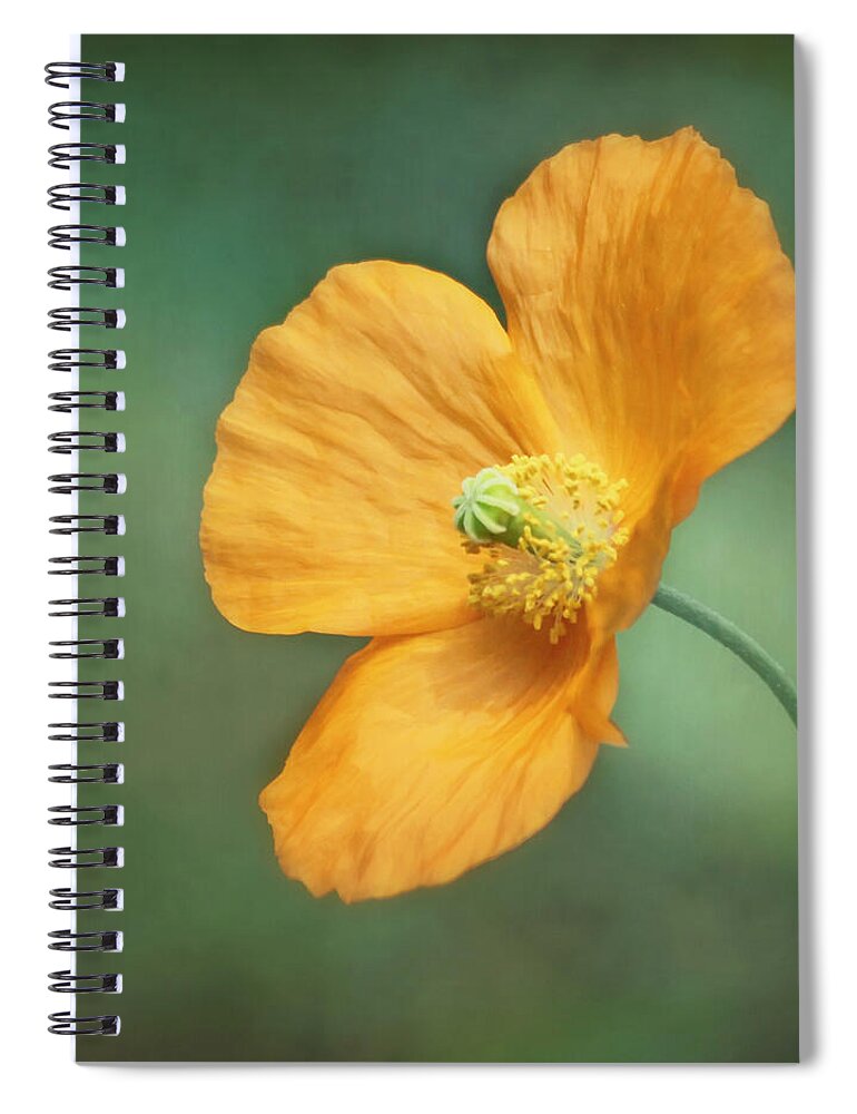 Orange Flower Spiral Notebook featuring the photograph Orange Pop by Kim Hojnacki