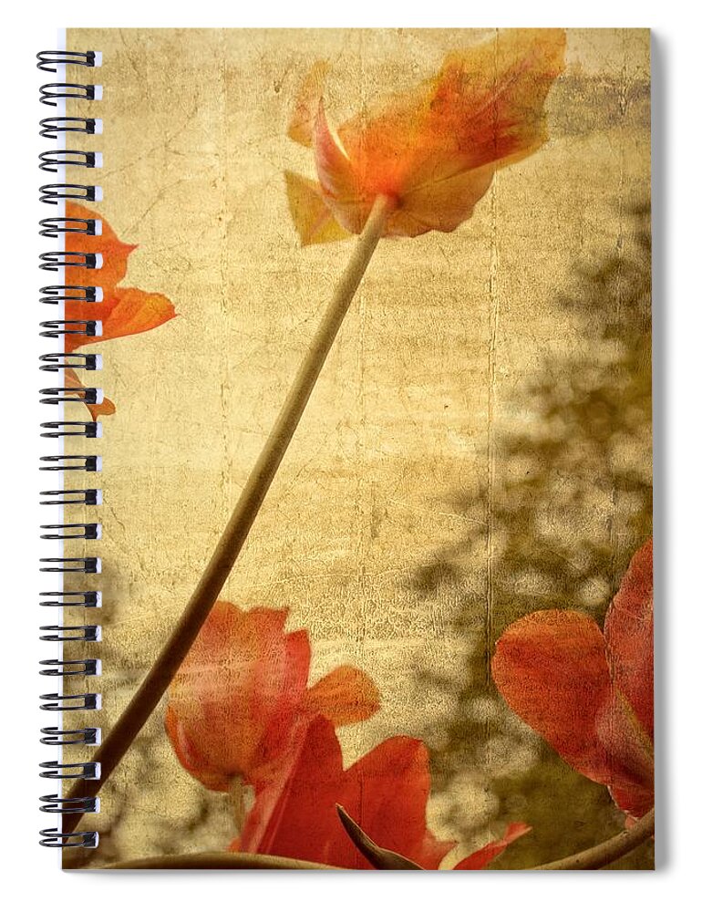 Rustic Spiral Notebook featuring the photograph Orange Tulips by Michelle Calkins