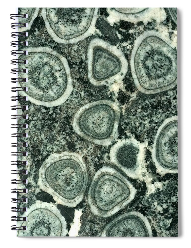 Orb Spiral Notebook featuring the photograph Orbicular Diorite by Scott Camazine