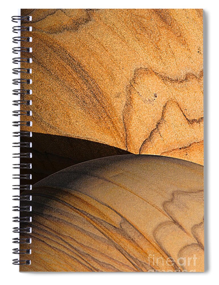 Orbs Spiral Notebook featuring the photograph Orbs by Eileen Gayle