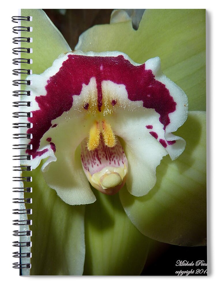 Orchid Spiral Notebook featuring the photograph Orchid Dream by Michele Penn