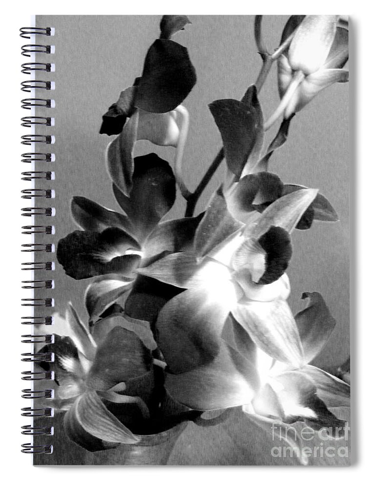 Black And White Photography Spiral Notebook featuring the photograph Orchids 2 BW by Barbara A Griffin