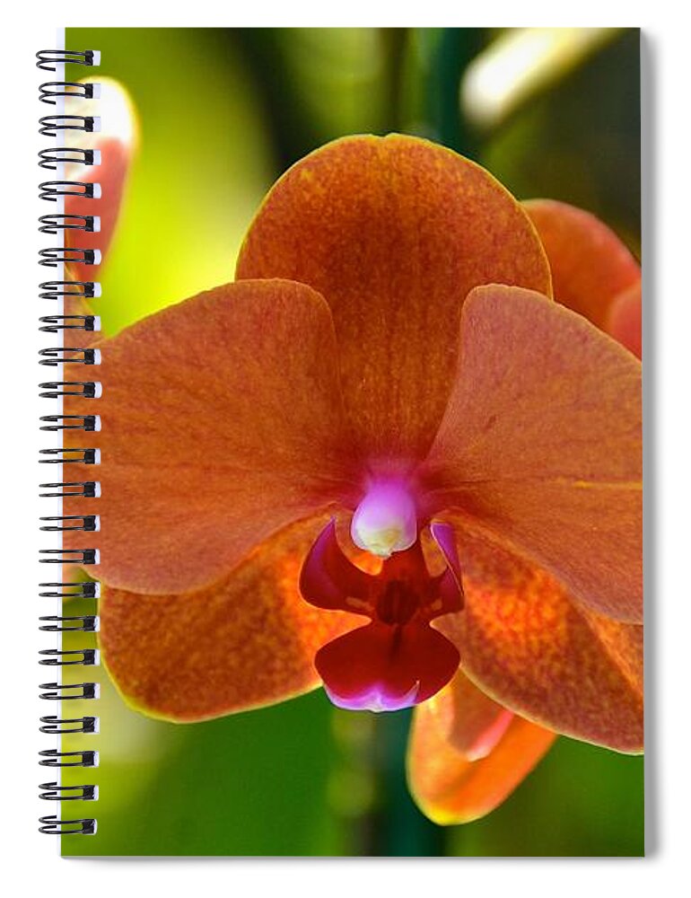 Orchids Spiral Notebook featuring the photograph Orchids by Lehua Pekelo-Stearns