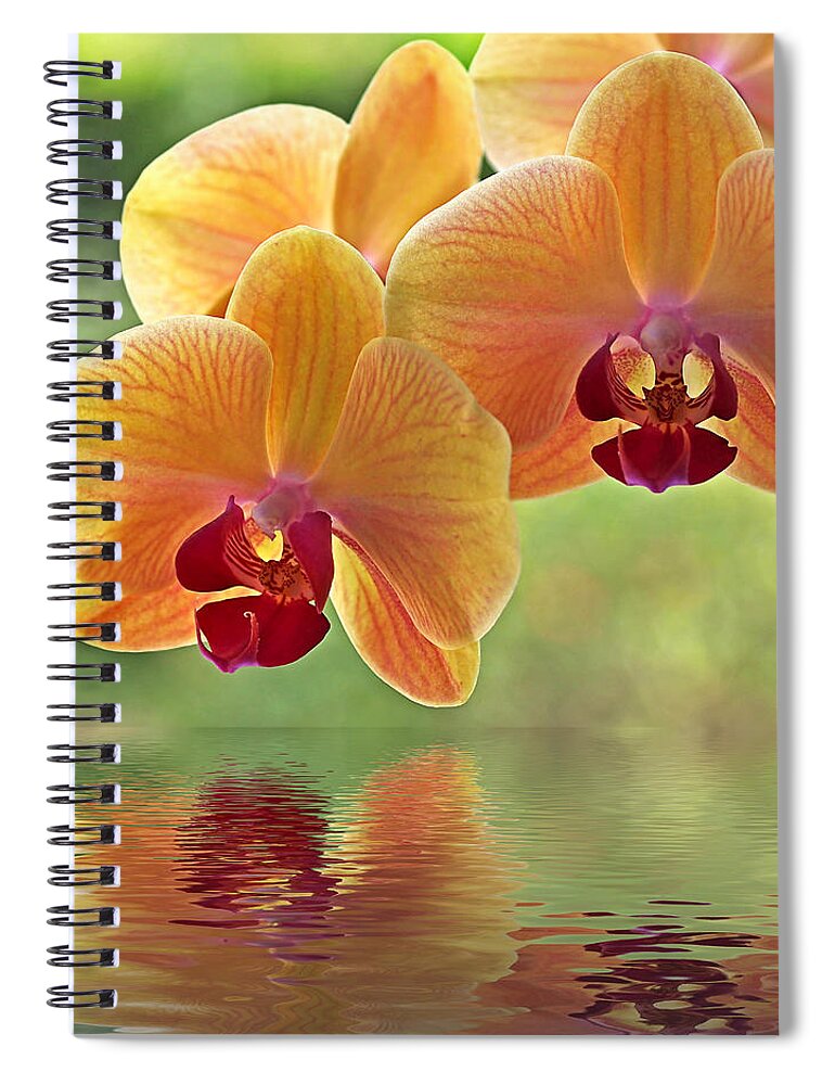 Orchid Spiral Notebook featuring the photograph Oriental Spa - Square by Gill Billington