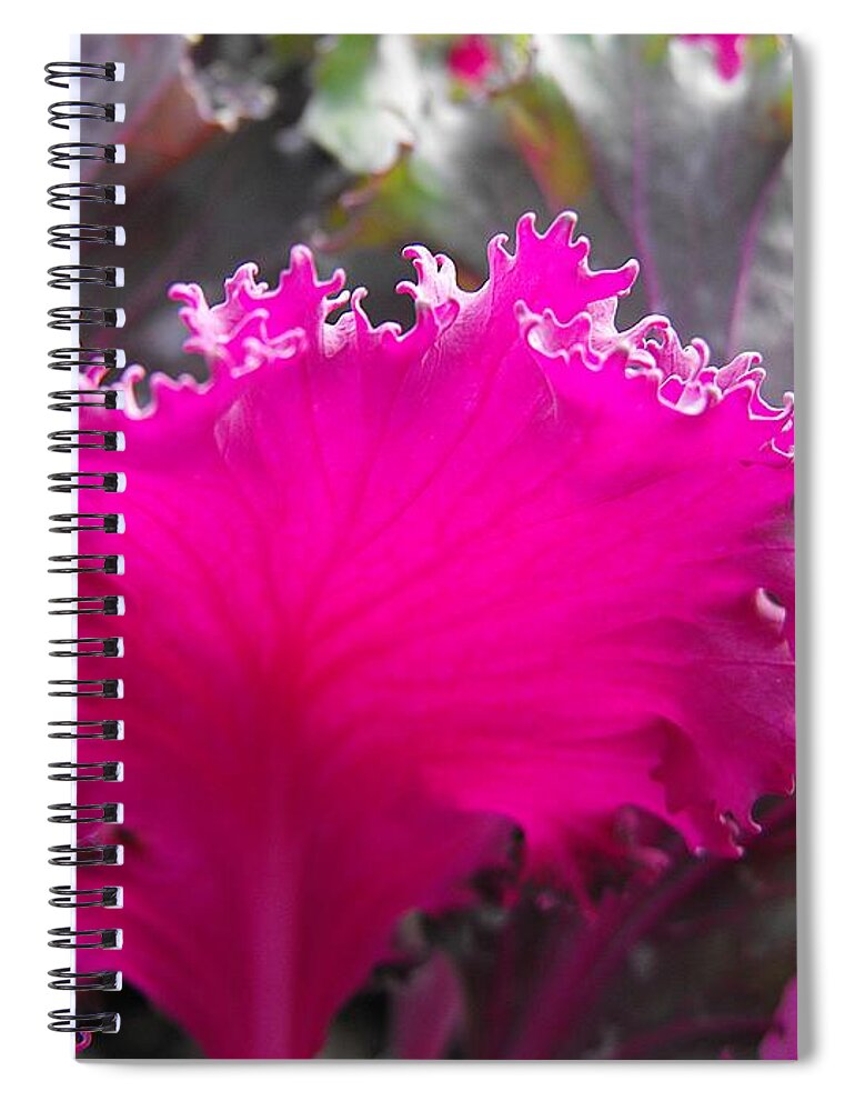 Floral Spiral Notebook featuring the photograph Ornamental Cabbage by Kae Cheatham
