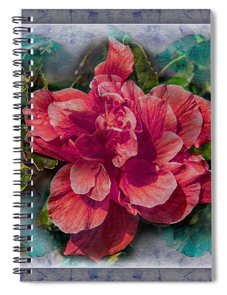 Hibiscus Spiral Notebook featuring the photograph Ornamental Marshmallow by Hanny Heim