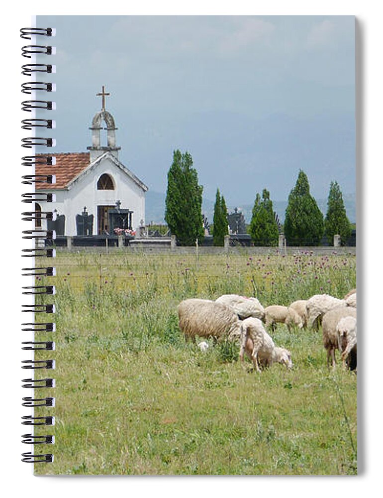 Sheep Spiral Notebook featuring the photograph Orthodox Church and sheep - Montenegro by Phil Banks