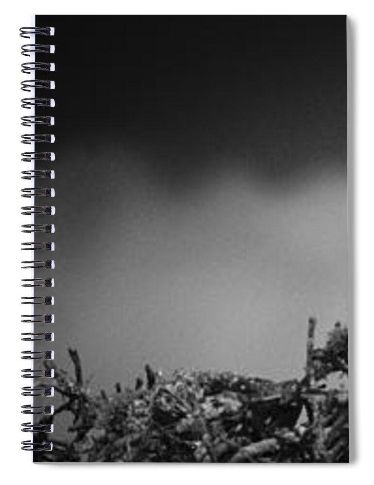 Florida Spiral Notebook featuring the photograph Osprey by Bradley R Youngberg
