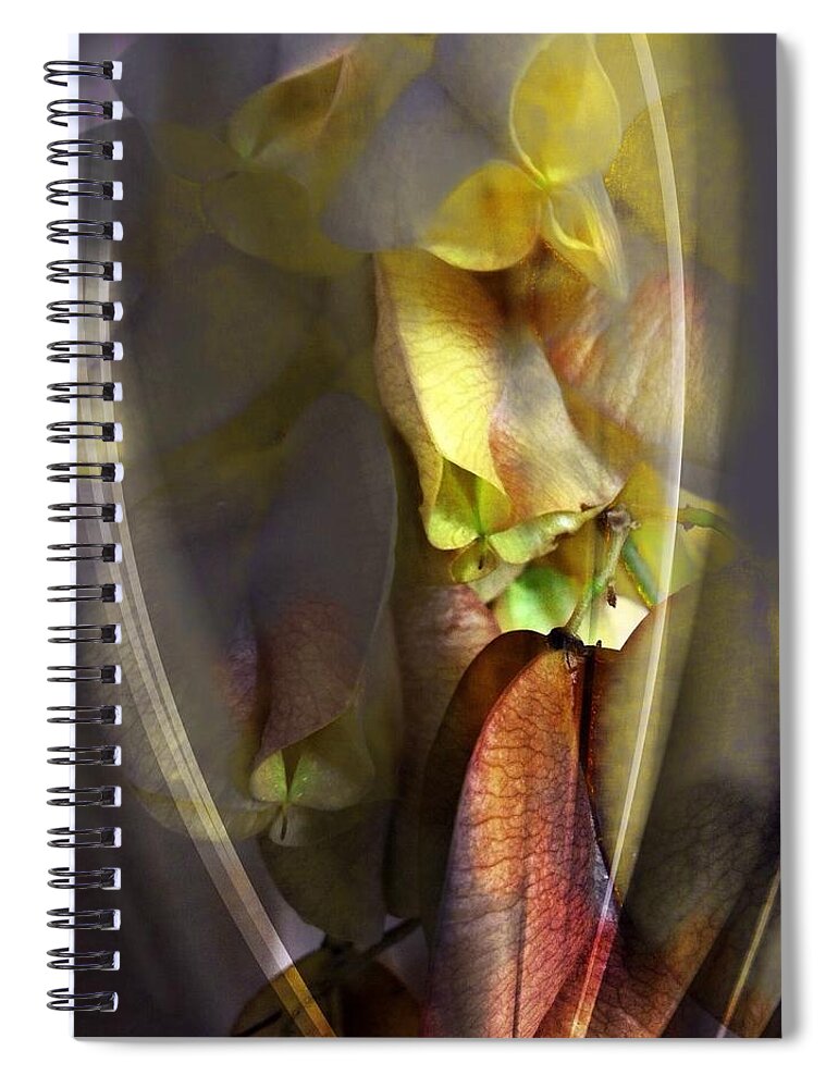 Flower Spiral Notebook featuring the photograph Out of the Mist by John Duplantis