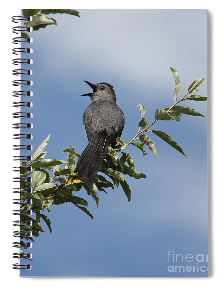 Christian Spiral Notebook featuring the photograph Out on a Limb by Anita Oakley