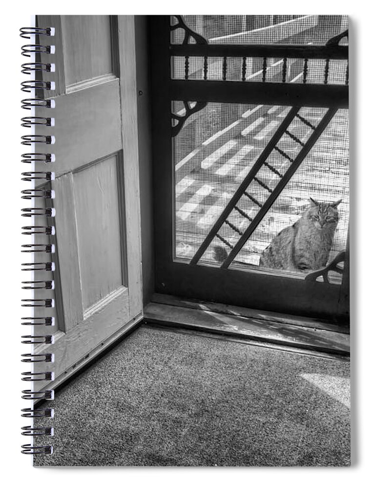 Out The Back Spiral Notebook featuring the photograph Out the Back by Nikolyn McDonald