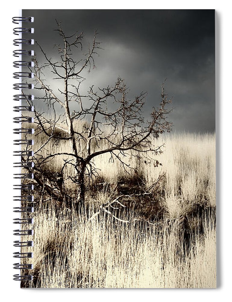 Storm Spiral Notebook featuring the photograph Over Your Shoulder by Mark Ross