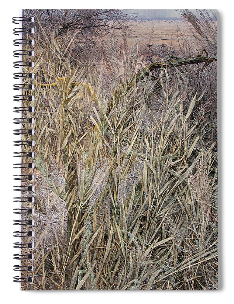 Landscape Spiral Notebook featuring the photograph Overgrown Fence Line by Ed Hall