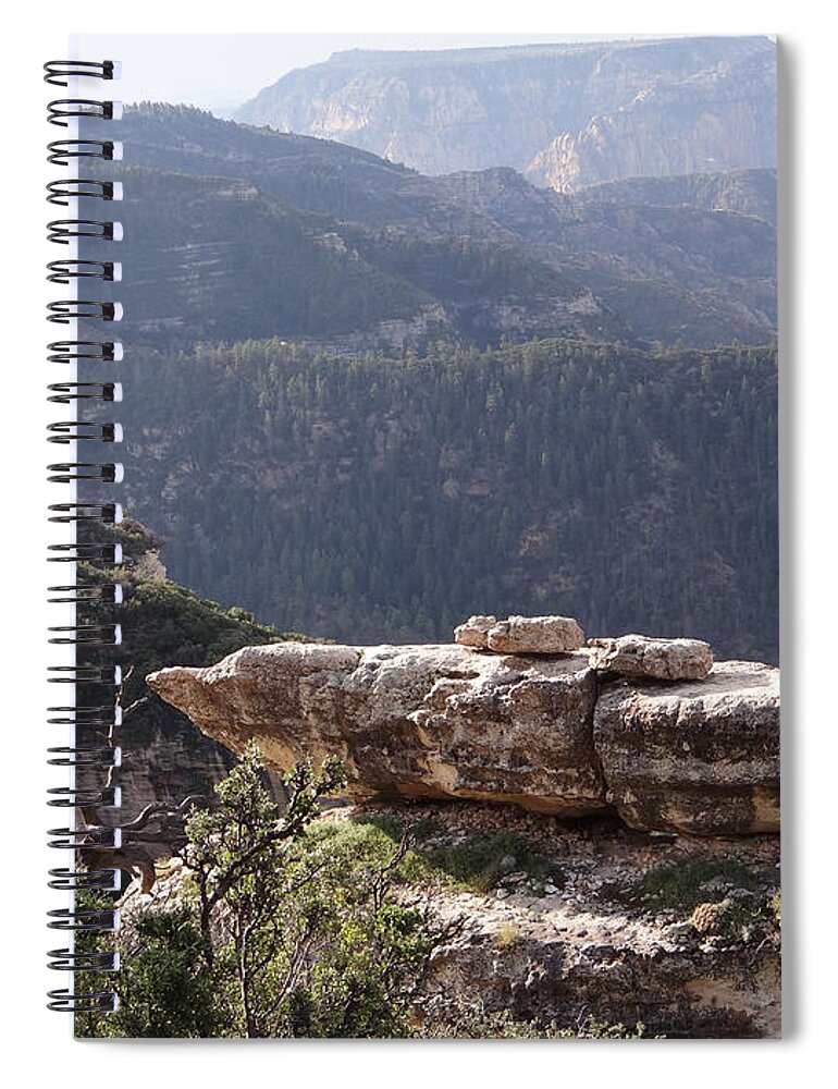 Canyon Spiral Notebook featuring the photograph Overlook by Jamie Ramirez