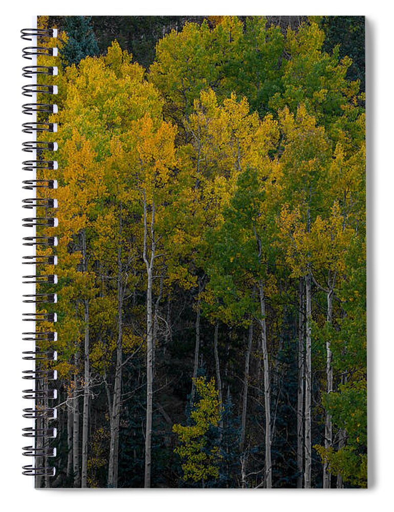 Autumn Spiral Notebook featuring the photograph Overseers by Ernest Echols