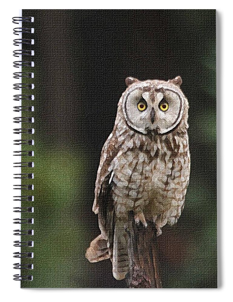 Owl Spiral Notebook featuring the photograph Owl In The Forest Visits by Tom Janca