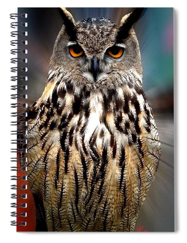 Colette Spiral Notebook featuring the photograph Owl Living in the Spanish Mountains by Colette V Hera Guggenheim