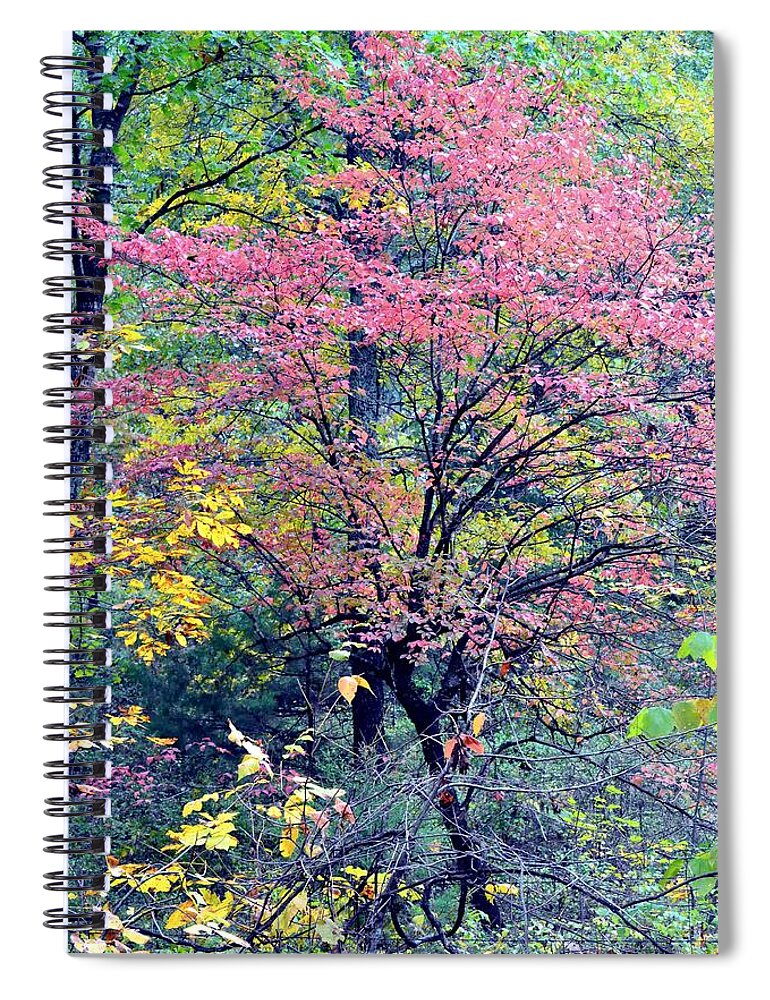 Autumn Spiral Notebook featuring the photograph Ozarks Autumn by Deena Stoddard
