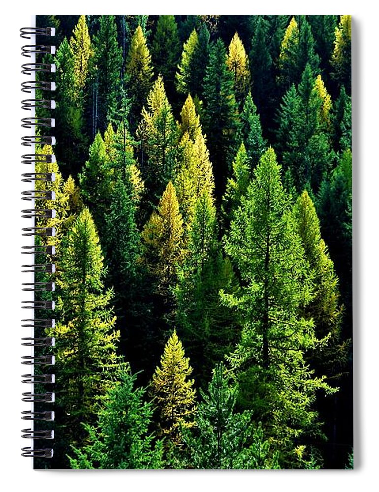 Pines Spiral Notebook featuring the photograph Pacific Northwest Autumn by Benjamin Yeager