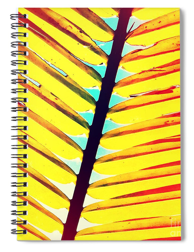 Florida Spiral Notebook featuring the photograph Palm by Chris Andruskiewicz