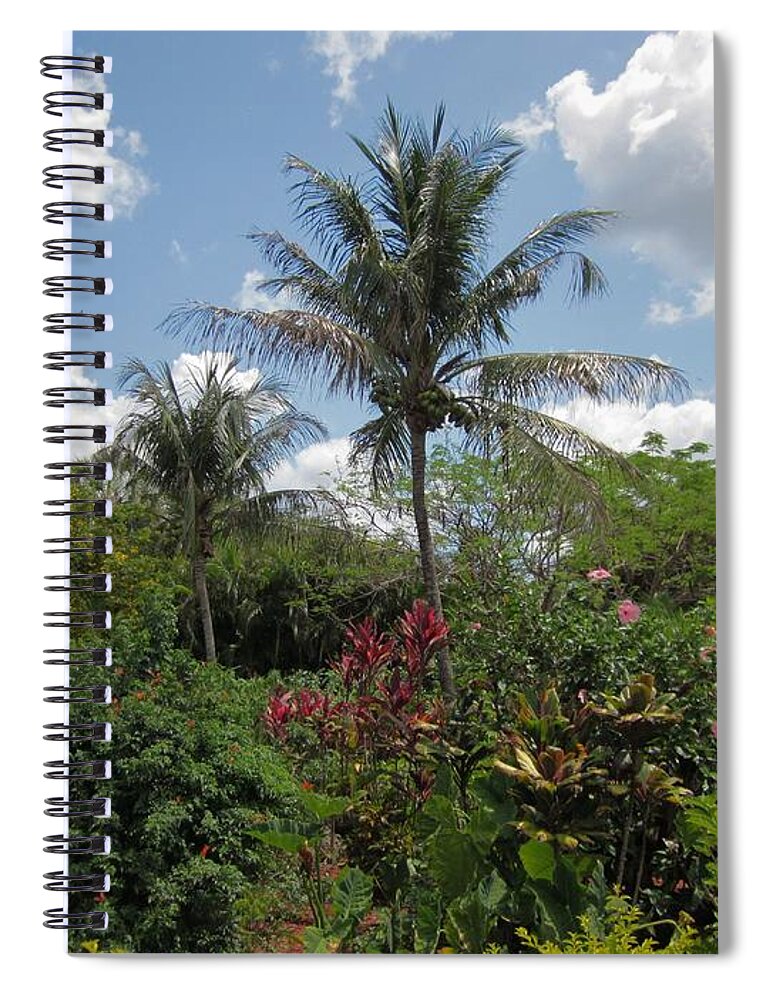 Palm Trees Spiral Notebook featuring the photograph Palm Garden by MTBobbins Photography