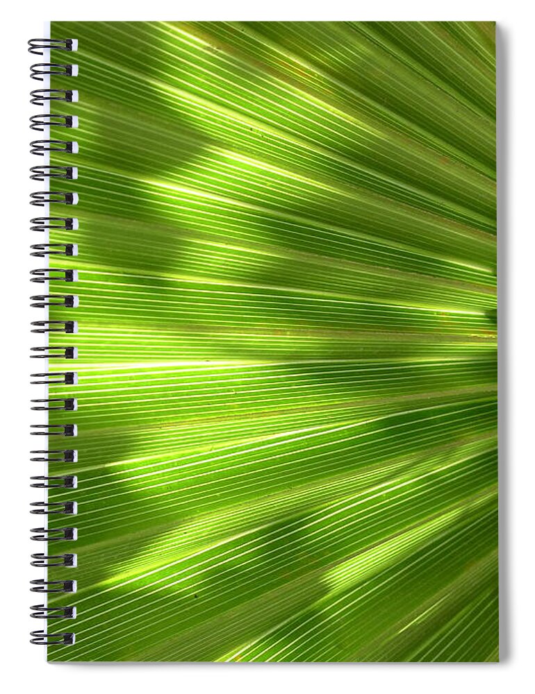  Spiral Notebook featuring the photograph Palm Leaf by Nora Boghossian