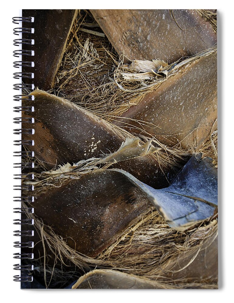 Faa Spiral Notebook featuring the photograph Palm Tree Bark by Sebastian Musial
