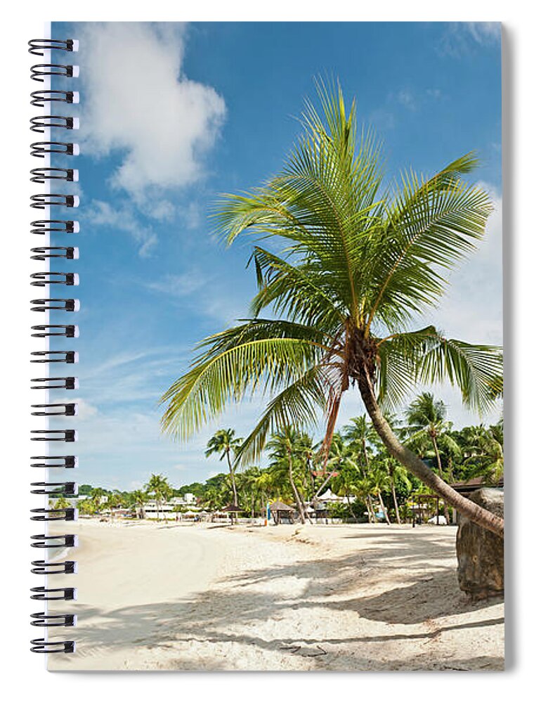 Water's Edge Spiral Notebook featuring the photograph Palm Tree Beach Resort Sentosa Island by Fotovoyager