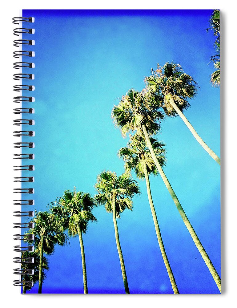 Tranquility Spiral Notebook featuring the photograph Palm Trees by Denise Taylor