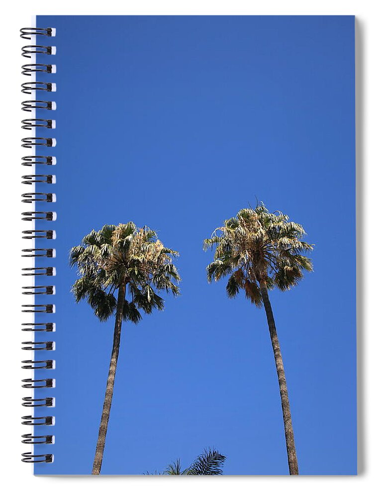Art Spiral Notebook featuring the photograph Palm Trees by Frank Romeo