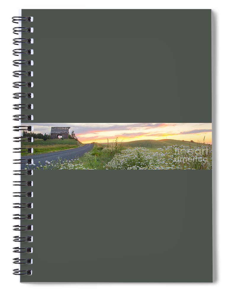 Idaho Spiral Notebook featuring the photograph Palouse Daisies Pano by Idaho Scenic Images Linda Lantzy