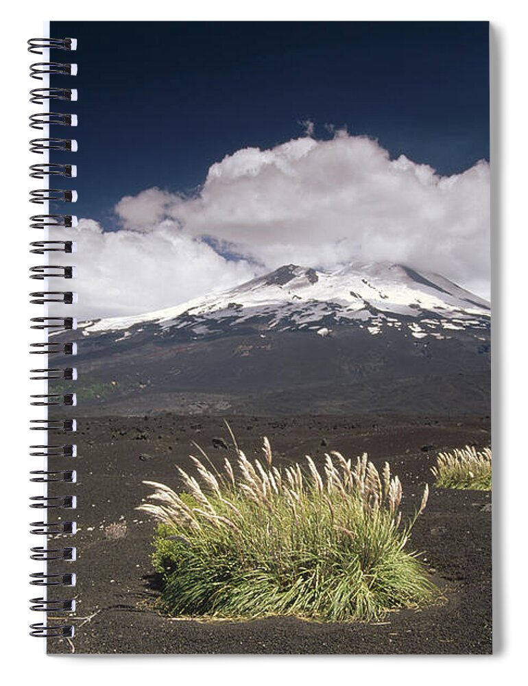 Feb0514 Spiral Notebook featuring the photograph Pampas Grass Islands In Old Lava Flow by Gerry Ellis