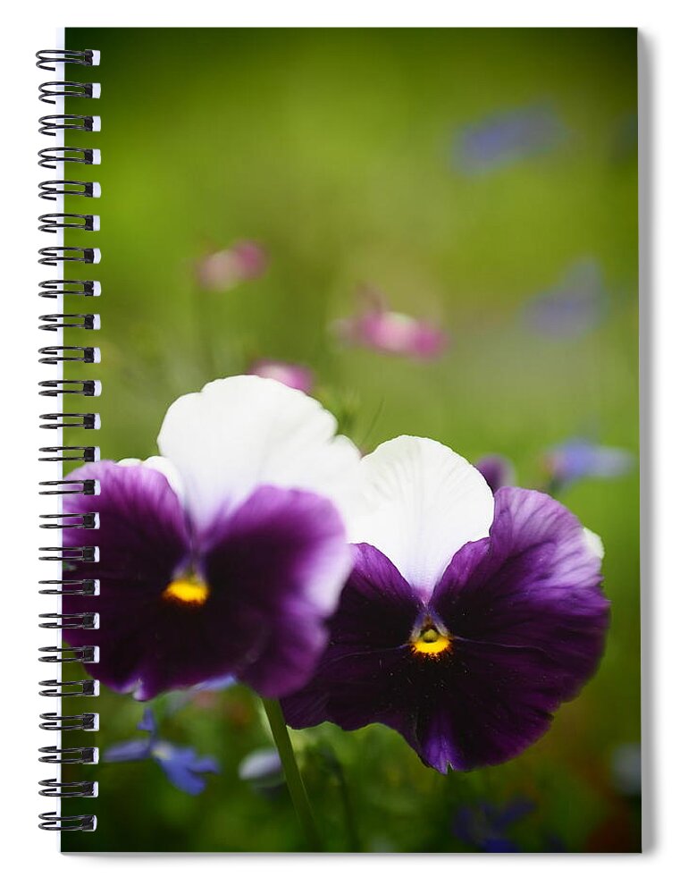 Flowers Spiral Notebook featuring the photograph Pansy Dreams by Dorothy Lee