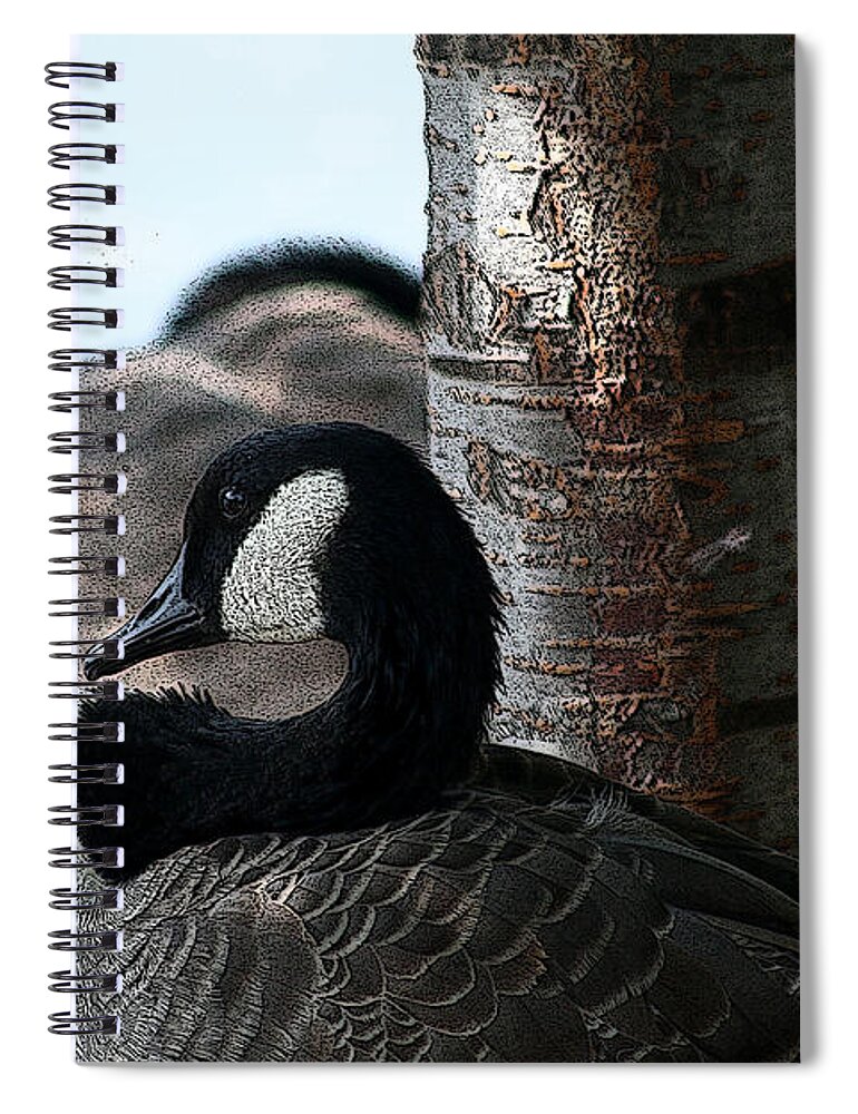 Canadian Geese Spiral Notebook featuring the mixed media Pap Daddy Big Spring Park by Lesa Fine