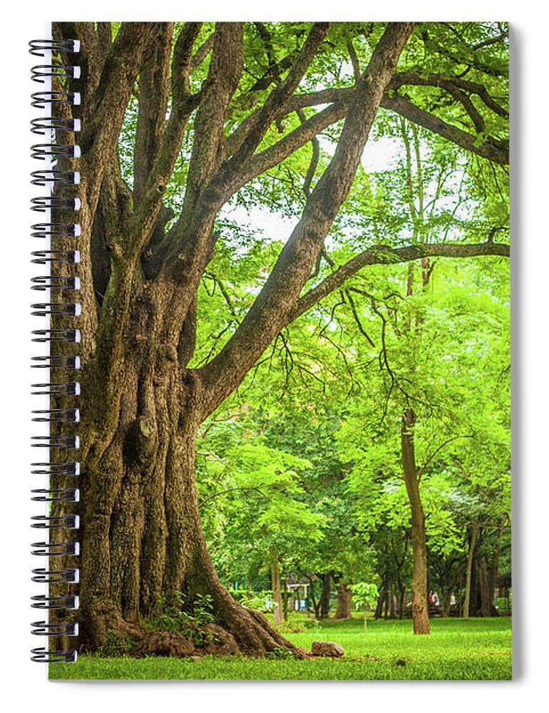 Scenics Spiral Notebook featuring the photograph Park by This Is Captured By Sandeep Skphotographys@gmail.com
