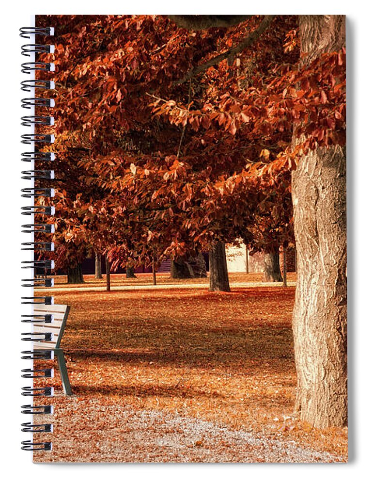 Avenue Spiral Notebook featuring the photograph Park With Beech Trees In Autumn by Kerrick