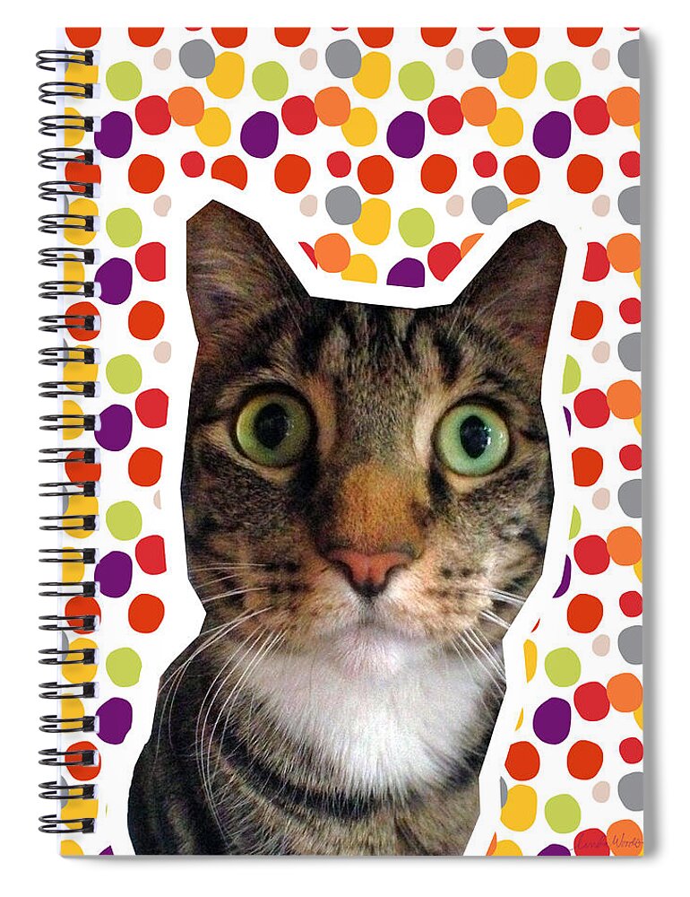 Cat Spiral Notebook featuring the photograph Party Animal - Smaller Cat with Confetti by Linda Woods