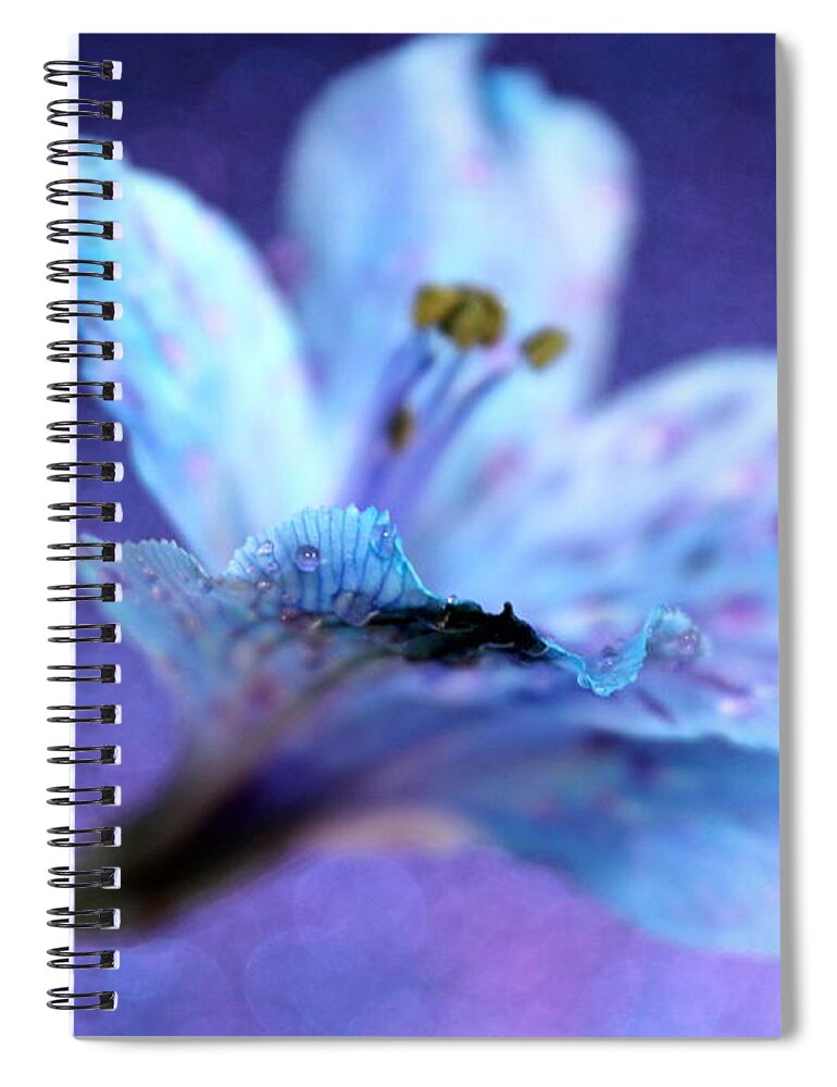 Amaryllis Spiral Notebook featuring the photograph Passion by Krissy Katsimbras