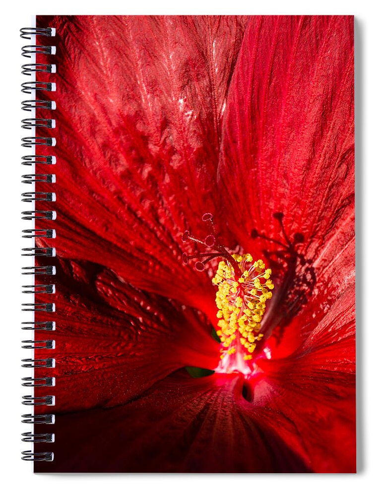 Passionate Ruby Silk Spiral Notebook featuring the photograph Passionate Ruby Red Silk by Georgia Mizuleva
