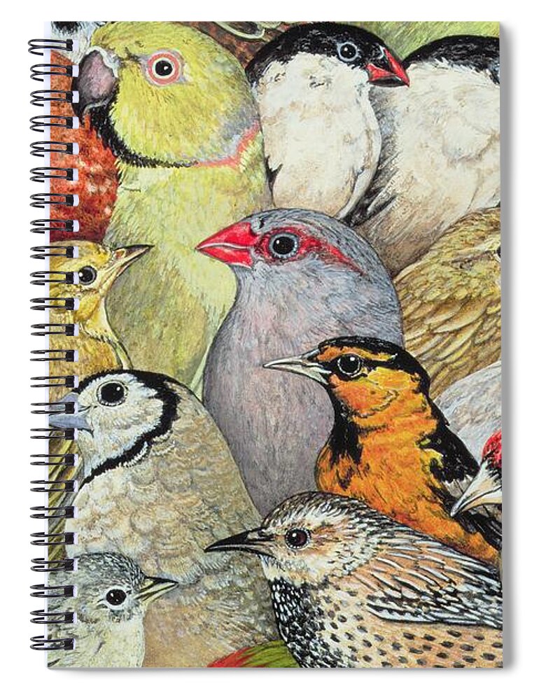 Patchwork-birds Spiral Notebook featuring the painting Patchwork Birds by Ditz