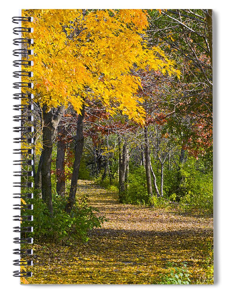 Autumn Spiral Notebook featuring the photograph Path through Autumn Trees by Lynn Hansen