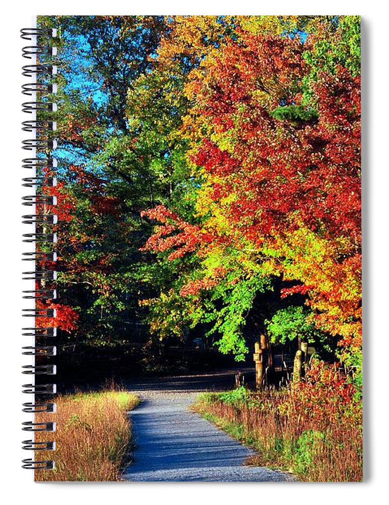 Fall Spiral Notebook featuring the photograph Path to Fall by Lynn Bauer