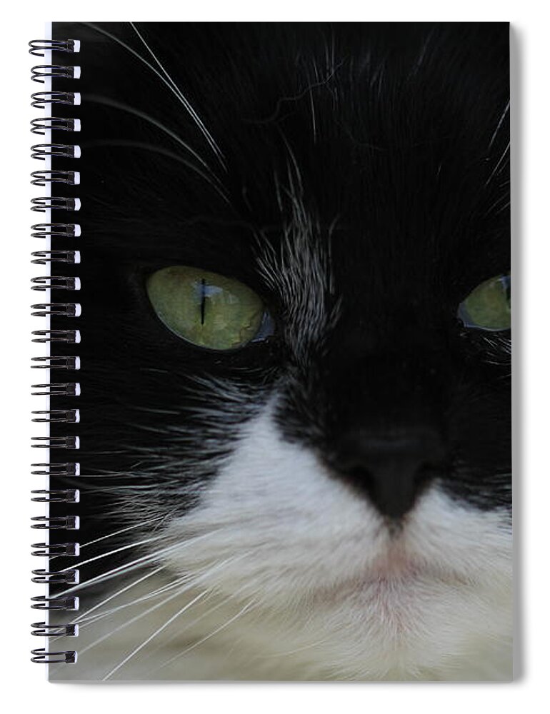 Tuxedo Spiral Notebook featuring the photograph Green Eyes of a Tuxedo Cat by Valerie Collins