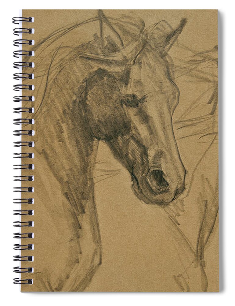 Horse Art Spiral Notebook featuring the drawing Peace And Justice Sketch by Jani Freimann
