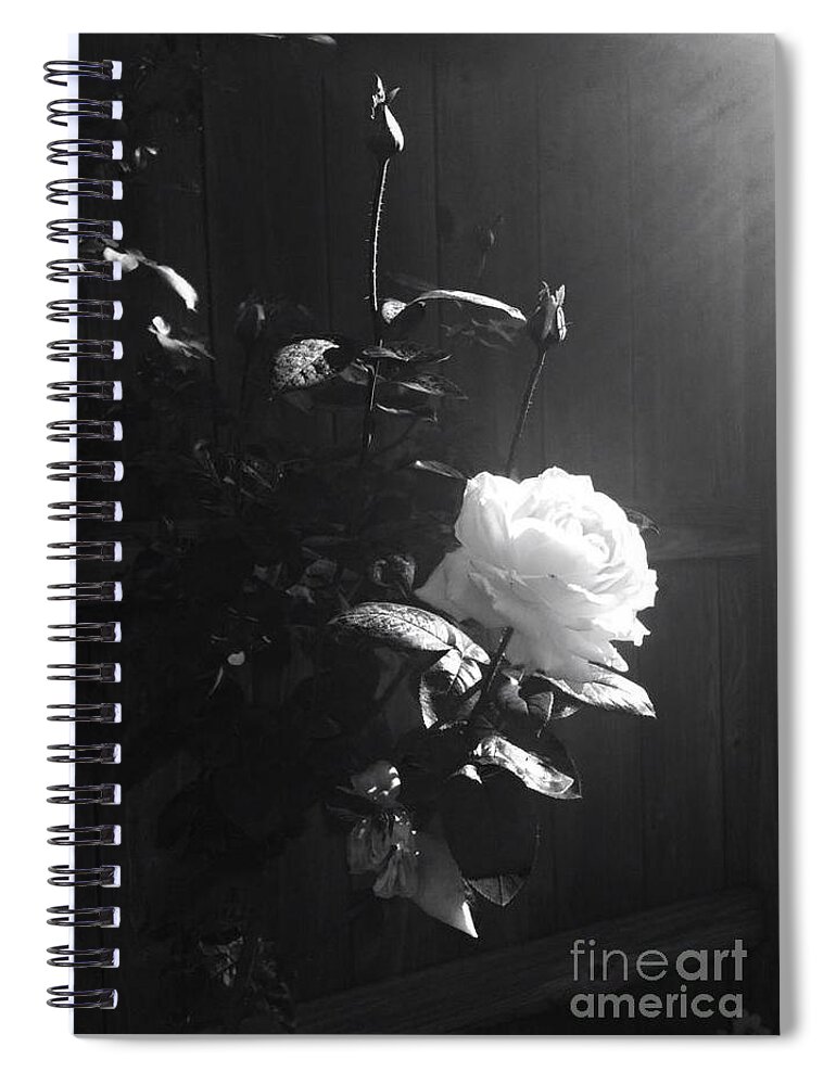 Rose Spiral Notebook featuring the photograph Peace in the Morning by Vonda Lawson-Rosa