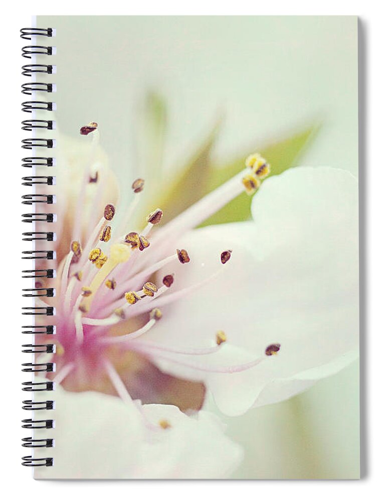 Flower Spiral Notebook featuring the photograph Peach Blossom by Pam Holdsworth