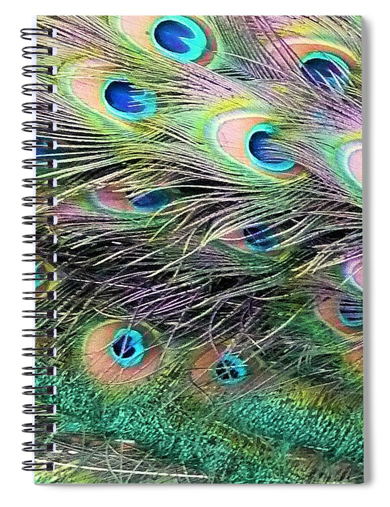 Peacock Spiral Notebook featuring the photograph Peacock Feathers by Jane Girardot