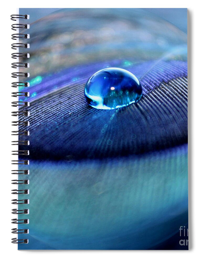 Peacock Feather Spiral Notebook featuring the photograph Peacock Globe by Krissy Katsimbras