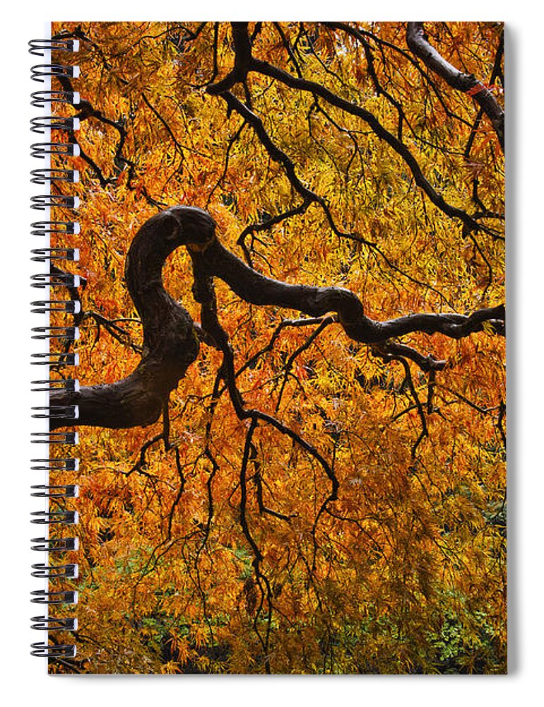 Fall Colors Spiral Notebook featuring the Peak D2737 by Wes and Dotty Weber